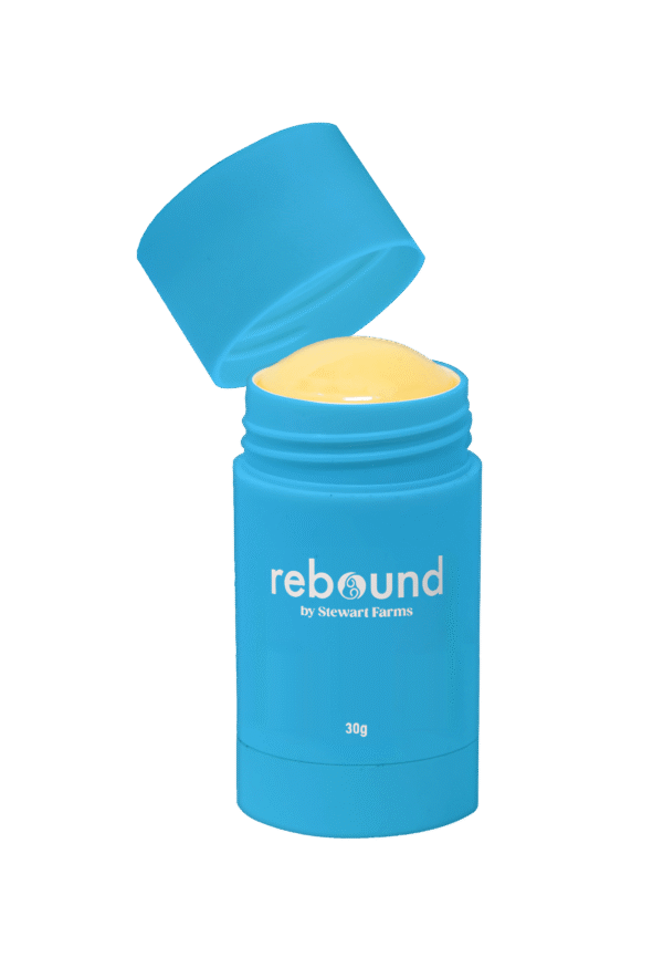 REBOUND<BR>Arctic Heat Extra Strength Relief Stick - Image 4